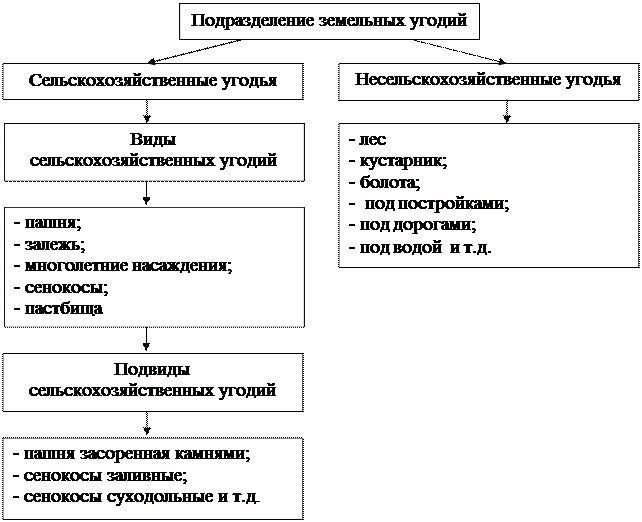 Виды учета земли. Классификация земельных угодий. Типы сельскохозяйственных угодий. Классификация земель по угодьям. Классификация видов угодий.