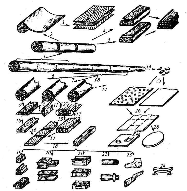 Производство древесных материалов технология 7 класс презентация