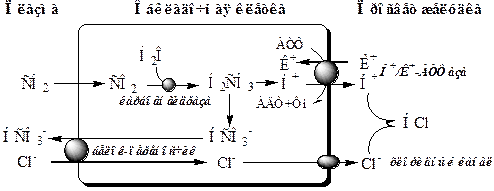 Схема образования соляной кислоты