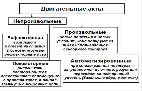 Рассмотрите схему воспалительного процесса