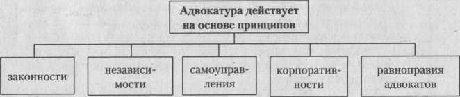 Адвокатура в таблицах и схемах