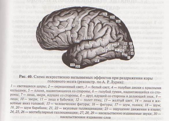 Перечеркнутые изображения нейропсихология