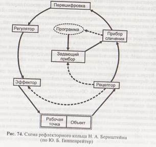 Схема рефлекторного кольца по бернштейну