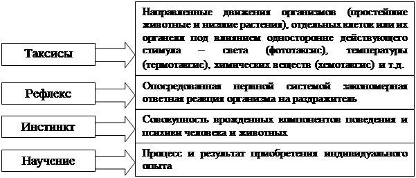 Инстинкты рассудочная. Таблица типология поведенческих реакций. Типология поведенческих реакций животных таблица. Таксис у человека. Таксис это в психологии.