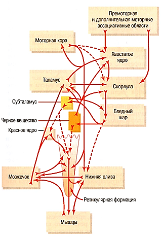 Псков толба карта