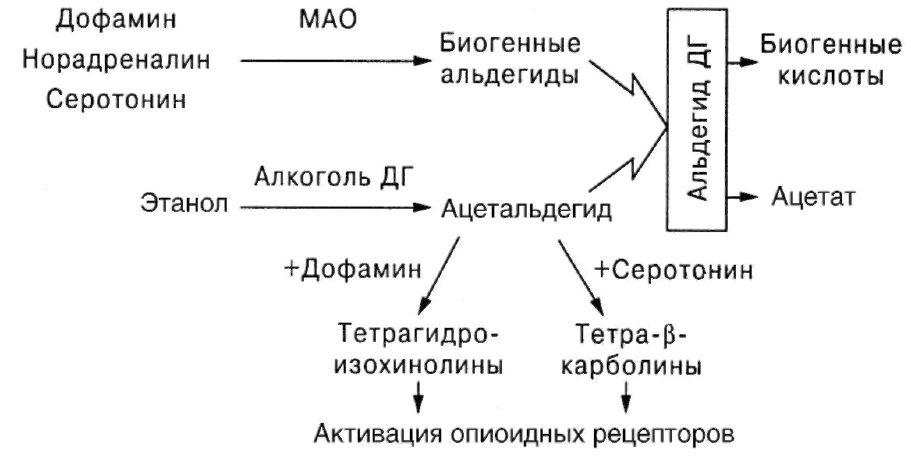 Образование мао. Серотонин норадреналин дофамин. Дофамин строение. Дофамин и алкоголь. Рецепторы дофамина.