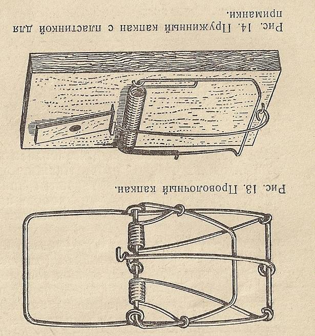 Как поставить мышеловку инструкция в картинках