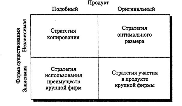 Выбор стратегии роста. Стратегии роста средних фирм. Стратегии малых предприятий. Стратегия копирования.