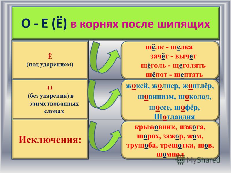 Грамматические нормы (морфологические нормы) | ЕГЭ по русскому языку | Теория к заданию 7