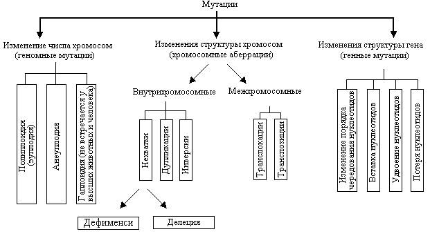 Схема мутации генные