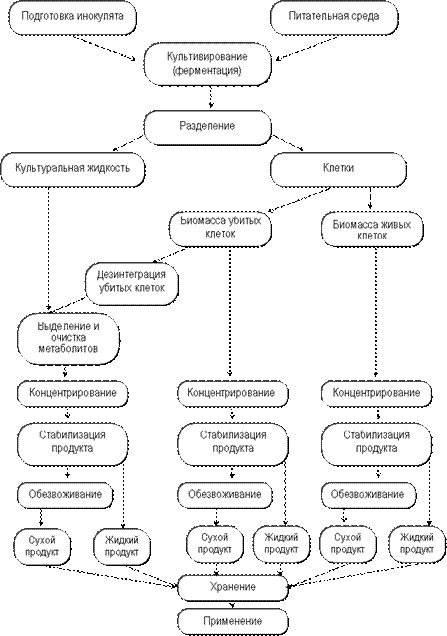 Схема биотехнологического производства