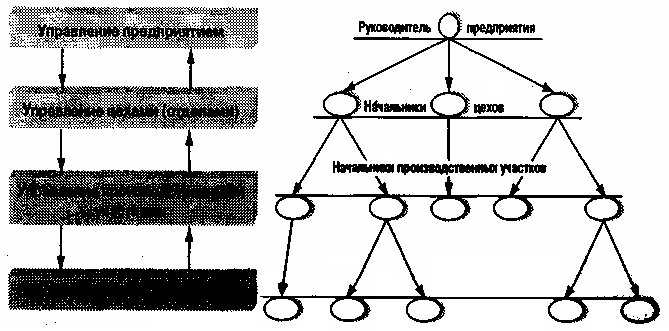 Иерархическая структура сайта картинка