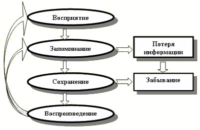 Блок схема память психология