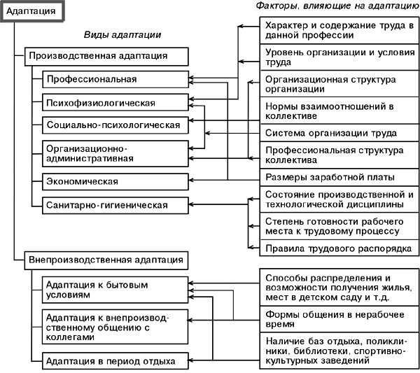 Виды адаптации схема биология