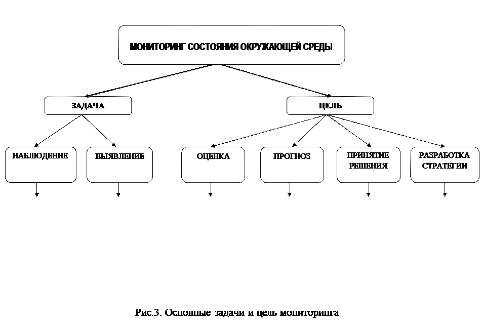 Мониторинг подразделяется