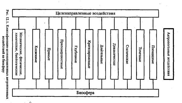 Презентация на тему антропогенное воздействие на биосферу 9 класс