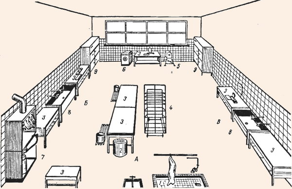 Схема рыбного цеха с расстановкой оборудования