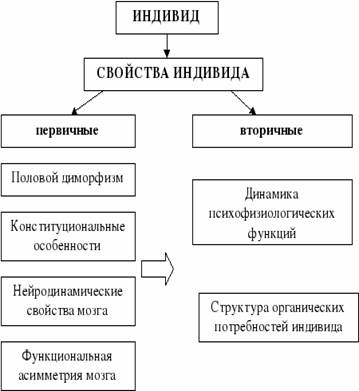 К признакам индивида относится