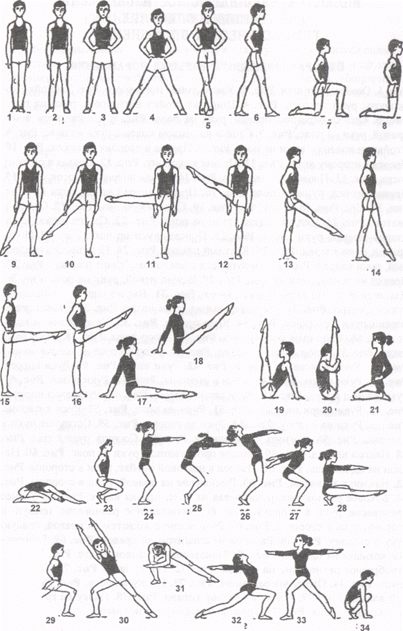 Элементы движений. Гимнастика терминология гимнастических упражнений. Гимнастическая терминология общеразвивающих упражнений гимнастика. Исходные положения терминология гимнастика. Гимнастическая терминология ору стойки.