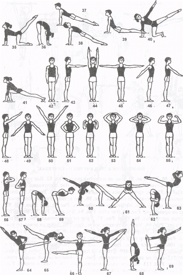 Терминология в гимнастике в картинках