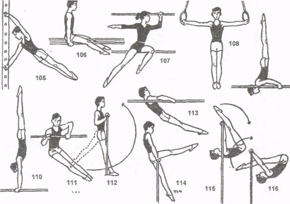Терминология в гимнастике в картинках
