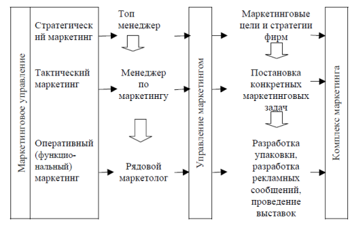 Организация проведения экономической и маркетинговой деятельности. Три уровня маркетинговой деятельности. Принципы организации маркетинговой деятельности. Принципы организации маркетинга. Уровень маркетинга компании.