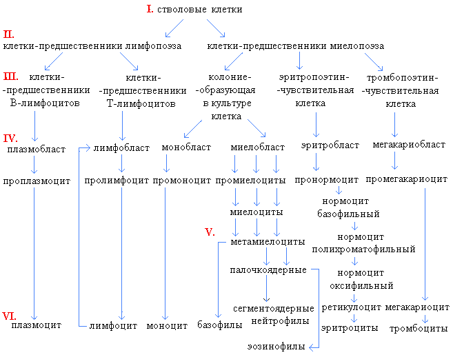 Схема воробьева и черткова