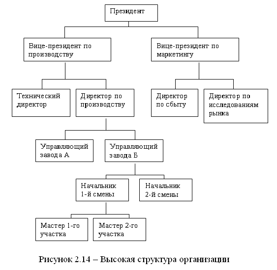 Высокая структура. Организационная структура организации президент вице-президент. Организационной структуры предприятия президента. Плоская организационная структура управления. Плоская структура управления организацией.