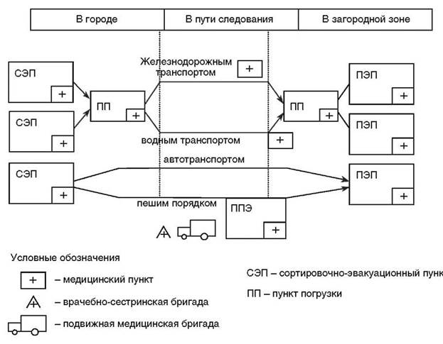 Структура сэп в виде схемы