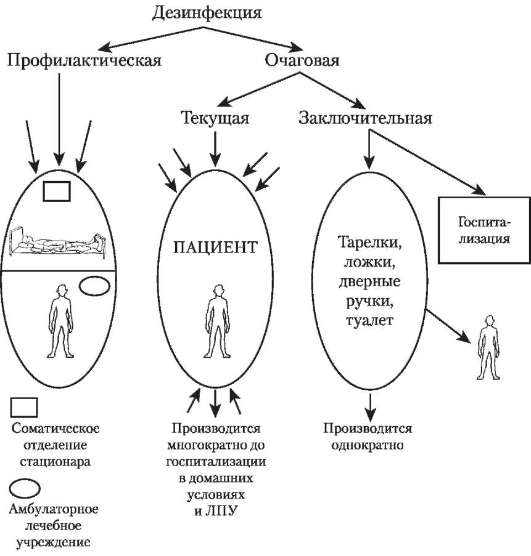 Виды дезинфекции схема