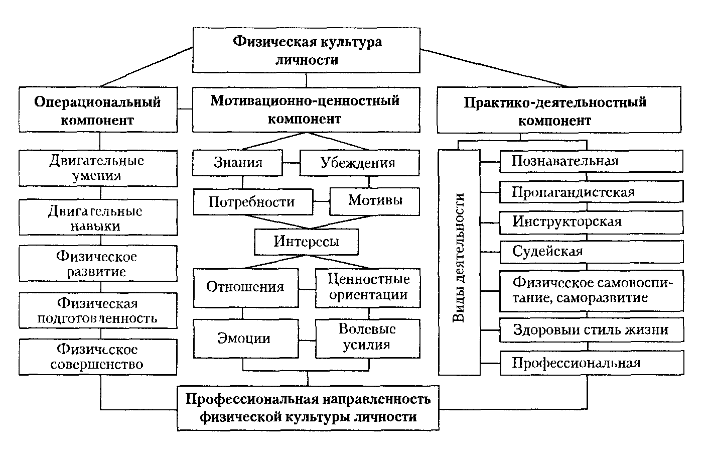 Структура культуры схема