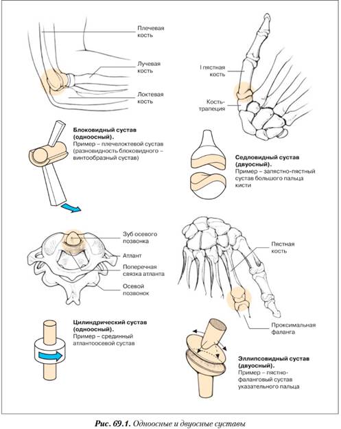 Какие есть суставы. Оси вращения в биомеханике суставов. Биомеханика движений в суставах верхней конечности. Строение сустава. Классификация суставов. Биомеханика суставов.. Биомеханическая классификация суставов схема.