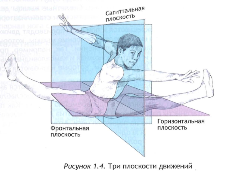 Вертикальная ось упражнения