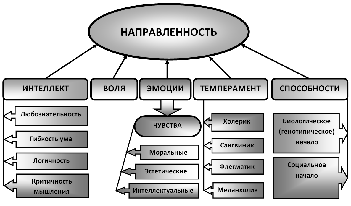 Схема качества человека