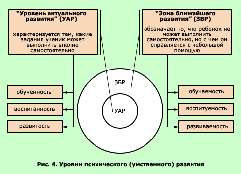 Под чьим руководством изучалось развитие интеллектуал функций и нейродинамические характеристики